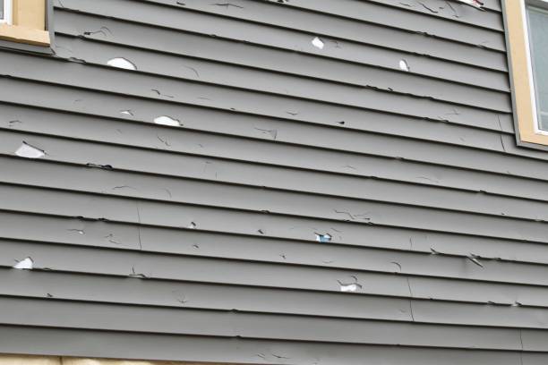 Best Same-Day Junk Removal Services  in Choudrant, LA